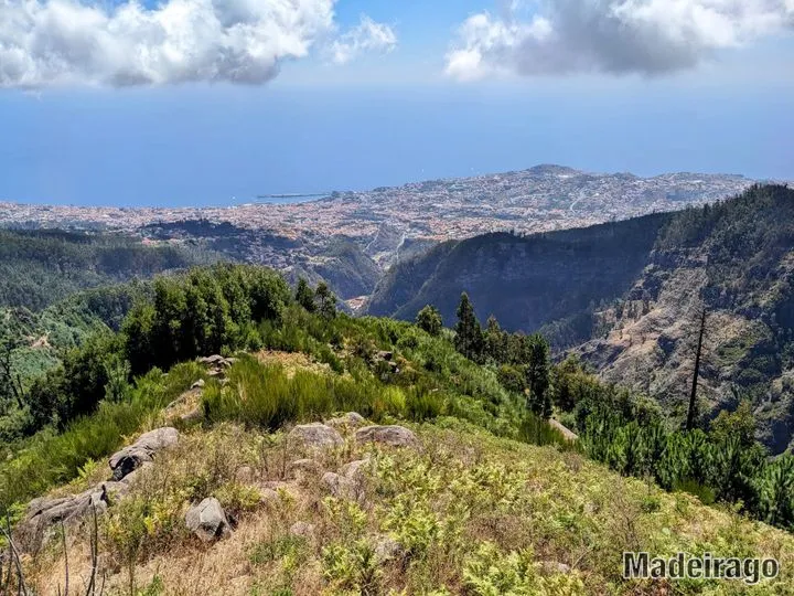 Miradouro do Pico Alto